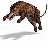 Andrewsarchus 06 A_0001